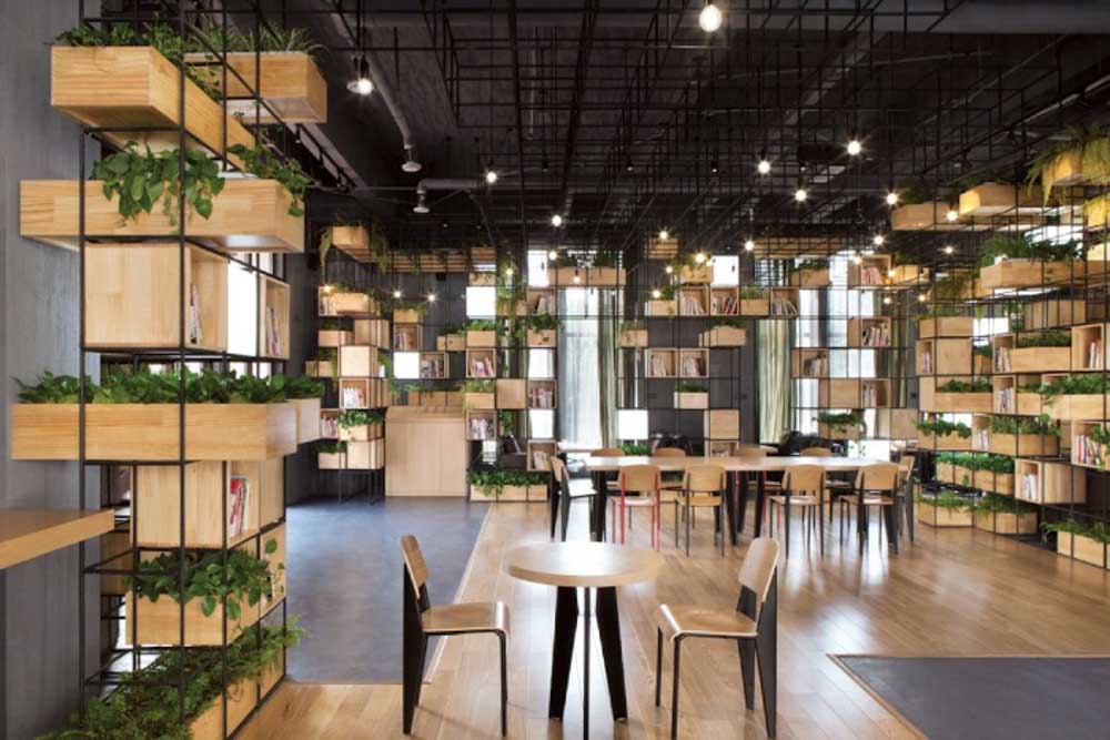 Thiết kế quán cà phê sách kết hợp không gian xanh